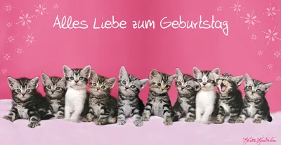 Produktbild von Geburtstag – Glückwunschkarte im Format 11,5 cm x 22 cm mit