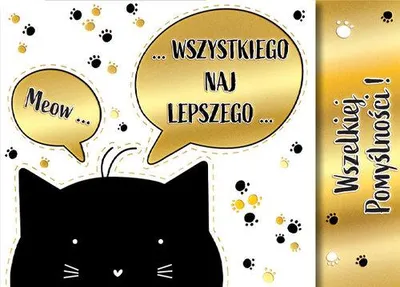 Produktbild von Klappkarte im DIN B6 Format mit Katzenmotiv