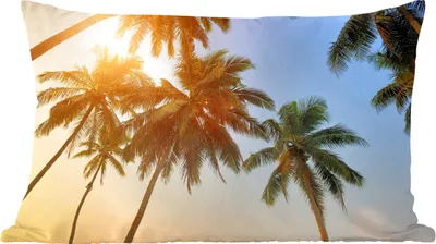 Produktbild von MuchoWow® Zierkissen Sofakissen Wohnzimmer Dekokissen 50x30 cm Palme - Sonne - Sommer - Tropisch - Wohnzimmerdekoration - Polster mit Photo