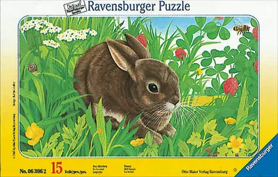 Produktbild von Das Häschen, 15 Teile Rahmenpuzzle