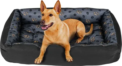 A dog is lying on a dog bed.