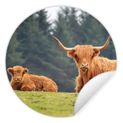 Produktbild von MuchoWow® Runde Wandtattoo - Wandsticker Tapete Aufkleber Schottische Highlander - Gras - Wald Ø 50 cm Selbstklebend und Repositionierbar - Wandaufkleber - Kreis - Wand Kreis - Wand Bild - Foto Tapete - Selbstklebende - Wohnzimmerdekoration - Wand Dekoration - Kinderzimmer
