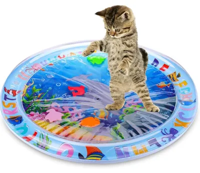 Produktbild von Katzenspielzeug, Wassersensorische Spielmatte für Indoor-Katzen, Perfekt für gelangweilte Katzen, Runden