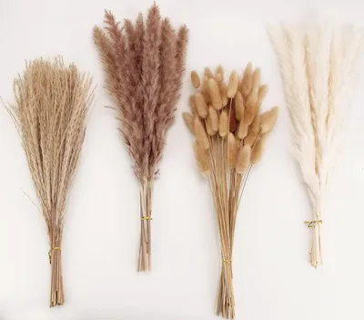 Produktbild von Getrocknete Pampasgrasdekoration, 100 Stück Pampasgras mit Bunny-Tails-getrockneten Blumen, Schilfgrasstrauß für Hochzeits-Boho-Blumen und Tischdekoration zu Hause, rustikale Bauernhaus-Party