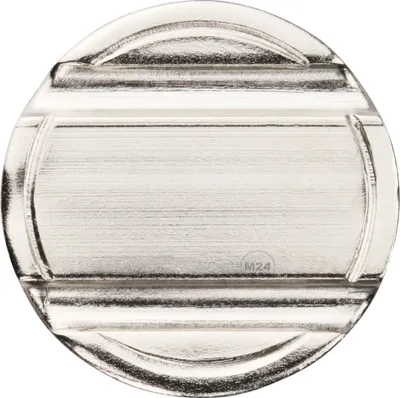 Produktbild von 24mm Wertmarke mit Rillen Profil, Münze für Münzkassierer IHGE WM 3001,  Typ pd24, Token, 50 Stück