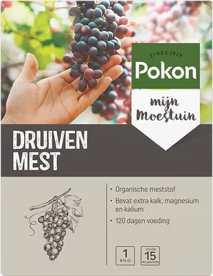 Image de Raisins Nutrition 1 kg - Pokon