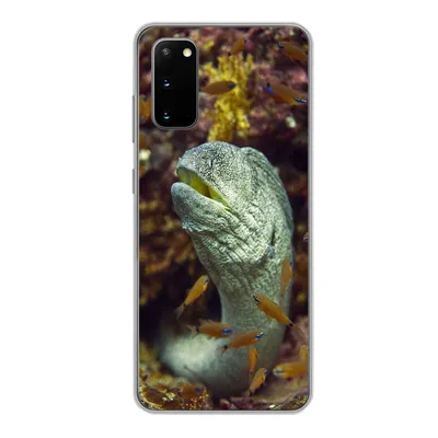 Produktbild von MuchoWow® Handyhülle Schutzhülle Hülle für Samsung Galaxy S20 Fische - Korallen - Ozean Silikon Softcase Handy Hülle - Bild
