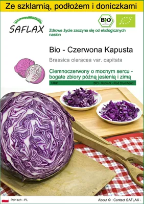 Zdjęcie produktu dla SAFLAX - Zestaw do uprawy - Bio - Czerwona Kapusta - 250 Nasiona - Z mini szklarnią, podłożem uprawowym i 2 doniczkami - Brassica oleracea var. capitata