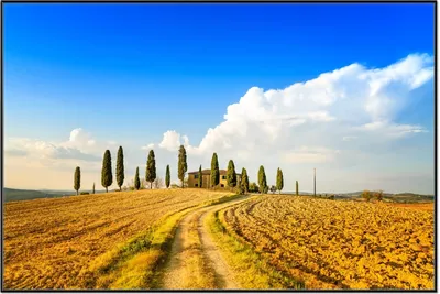 Produktbild von Wallario Wandbild Italien - Toskana unter blauem Himmel  einsame Farm, Größe: 61 x 91,50 cm, Poster mit schwarzem Aluminiumrahmen