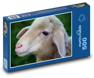 Obrázek produktu pro Puzzle 500 Jehně na louce - martinpuzzle