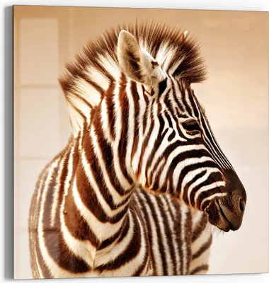 Produktbild von DEQORI Glasbild Echtglas 30x30 cm 'Savannenstreifen' Wandbild Bild modern Deko