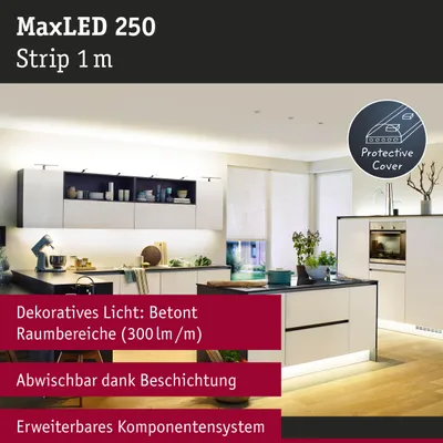 Zdjęcie produktu dla MaxLED 250 – przedłużka taśmy LED, 1 m, 2700 K, powlekana, 4 W, 300 lm/m, 2700 K