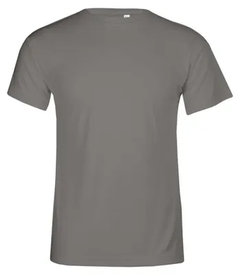 Obrázek produktu pro Promodoro - Pánské tričko LT2913 (4XL) (světle šedá jednobarevná)