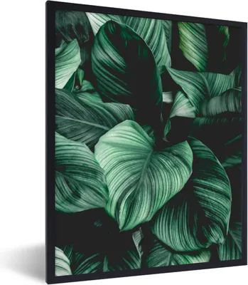 Produktbild von MuchoWow® Gerahmtes Poster Dschungel - Blätter - Tropisch - Pflanzen - Natur 60x80 cm - Poster mit Schwarzem Bilderrahmen Wandposter Rahmen Foto Bilder - Premium - Wanddeko Wohnzimmer