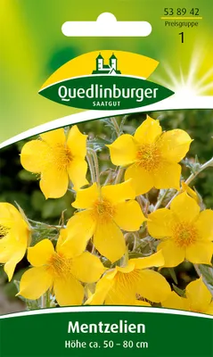 Produktbild von Quedlinburger Saatgut - Mentzelie - Samen - 538942