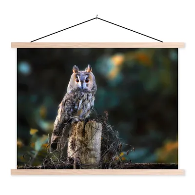 Produktbild von MuchoWow® Textilposter Eule - Herbst - Vogel - Äste 40x30 cm mit holzfarbenen Rahmen - Bilder