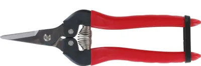 Image de ARS 300SS Ciseaux à vendange/fleuriste, lame ronde