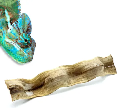 Immagine prodotto di BioBrazilian liana per terrari, liana brasiliana spessa, 50cm