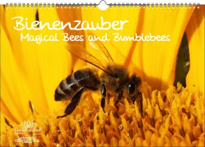 Produktbild von Bienenzauber Bienen und Hummeln DIN A3 Immerwährender Kalender - Seelenzauber