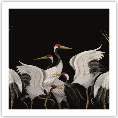 Produktbild von Poster - Poster ohne Rahmen - Kraniche Vögel Grafiken - 60x60 cm - Wand Bild - Wanddeko - Wandbilder - Kunstposter - Wandposter - Bilder - Kunstdruck - Wanddekoration - Wandbild - P2XAC60x60-4748