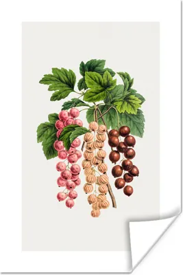 Produktbild von MuchoWow® Poster Obst - Beeren - Lebensmittel 120x180 cm - Kunstposter
