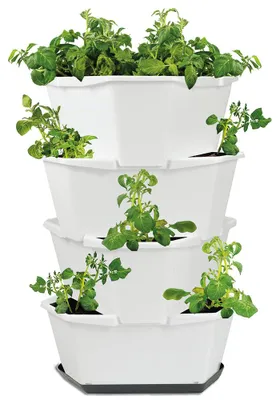 Artikelbild 1 von 'PAUL POTATO Kartoffelturm Starter Set weiß (4 Etagen)'