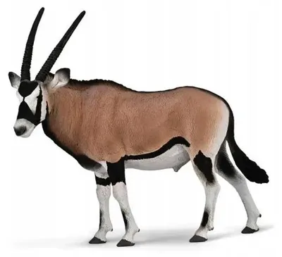 Zdjęcie produktu dla Gemsbok - Collecta