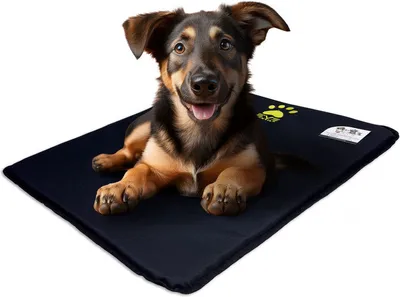 Produktbild von EVE Textile Hundematte Katzenmatte 50x70x2 cm Schwarz Hundebett Katzenbett Haustiermatte Beidseitig Verwendbar Atmungsaktiv Kühlend Wendbar Leicht