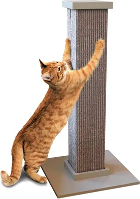 Productafbeelding van Famanu krabpaal – 81,3 cm hoog, stabiele basis