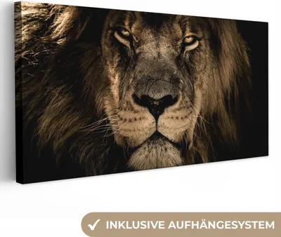 Produktbild von MuchoWow® - Leinwandbilder - Löwe - Tiere - Schwarz - Porträt, Wandbild, Wanddeko Bilder Wohnzimmer, 40x20cm