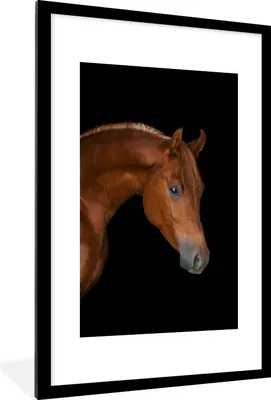 Produktbild von MuchoWow® MuchoWow® Gerahmtes Poster Pferd - Schwarz - Tier 60x90 cm - Poster mit zchwarzem Bilderrahmen - Dekoration - Wandposter Wohnzimmer - Hochwertig
