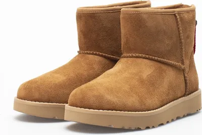 Image de UGG Chaussures W Classic Mini Logo Zip, 1122671CHE