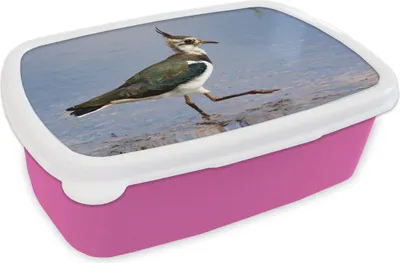 Produktbild von KitchenYeah® Lunchbox Brotzeit Brotdose 17x11 cm Kiebitz auf dem Wasser Kinder Brotzeitdose - Lunchpaket - Brotkasten  - Sandwich Box