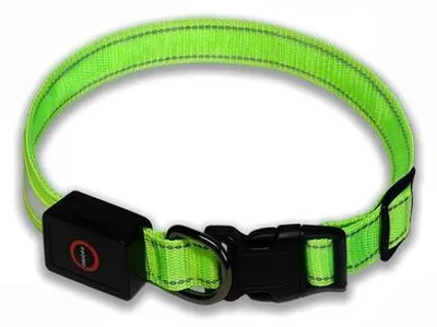 Immagine prodotto di Collare LED per cani – Impermeabile, grande, ricaricabile, luce notturna, luce LED, verde