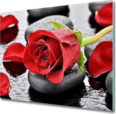 Produktbild von Glas Herdabdeckplatte 60x52 cm Spritzschutz Glasabdeckplatte Schneidebrett Rote Rose