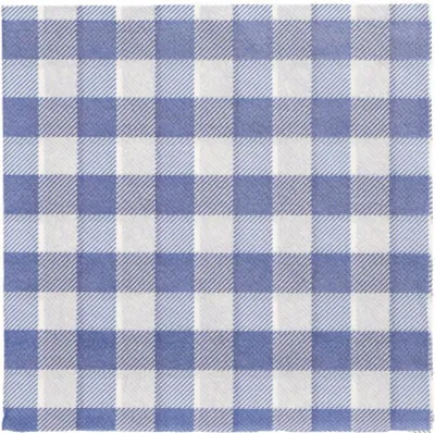 A close-up of a blue and white checkered napkin.