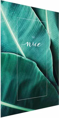Produktbild von Posterpapier Poster - Be Nice 60x90 cm Blätter b-C-0270-ao-a