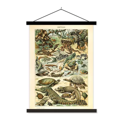 Produktbild von MuchoWow® Textilposter Tiere - Reptilien - Gestaltung 40x53 cm mit schwarzem Rahmen - Abbildung