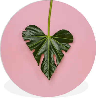 Produktbild von MuchoWow® - Wand-Kreis - Wohnzimmer - Bild - Runde - Wanddeko - Dibond - Kunstdrucke