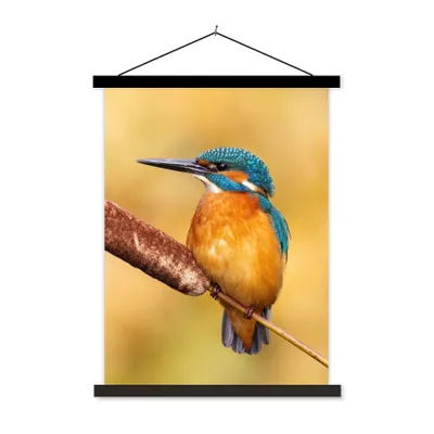 Produktbild von MuchoWow® Textilposter Eisvogel - Natur - Vogel 90x120 cm mit schwarzem Rahmen - Dekoration