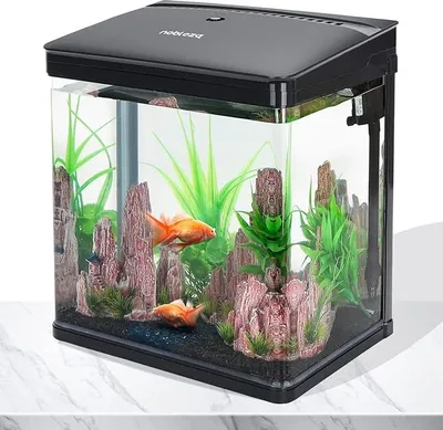 Produktbild von '- Nano-Fischtank-Aquarium mit LED-Leuchten & Filtersystem, tropischeAquarien, 14 Liter, Schwarz