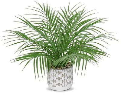 Obrázok produktu pre Uniqoos® Umelá izbová rastlina v kvetináči, výška 40,6 cm – realisticky vyzerajúca, nenáročná umelá rastlina vhodná do domácnosti, kancelárie, hotela a kaviarne