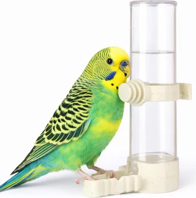 Immagine prodotto di Abbeveratoio, abbeveratoio per pappagalli e altri uccelli 50 ml
