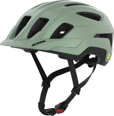 Produktbild von Alpina Paranus Mips Willow-Green Matt Willow-Green Matt 52