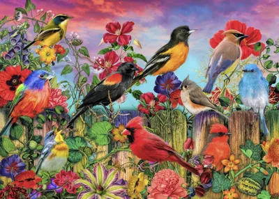 Obrázek produktu pro Bluebird Puzzle Ptáci a květy Zahrada - 500 dílků
