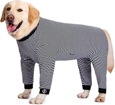 Immagine prodotto di Pigiama per cani in pile
