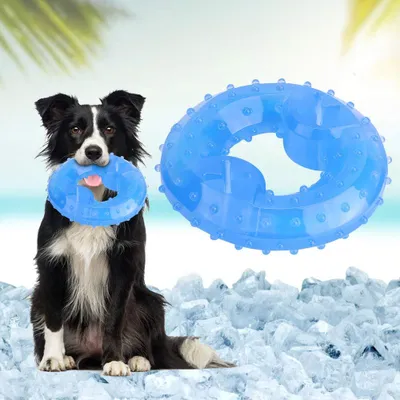 Produktbild von Kauwspeelzeug für Hunde - Bevroren Kauspielzeug - Zerodisxkreh1yqmv231