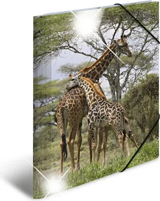 Produktbild von HERMA Eckspannermappe "Giraffe" PP Glossy DIN A4
