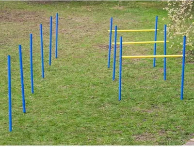 Produktbild von Dog Agility Trainings-Set 2 für Einsteiger