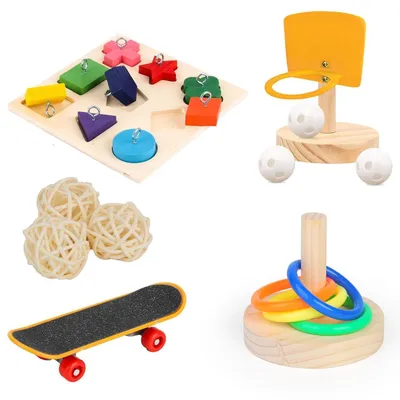 Produktbild von 4 Stück Papageien Trainingsspielzeug Set für kleine Papageien